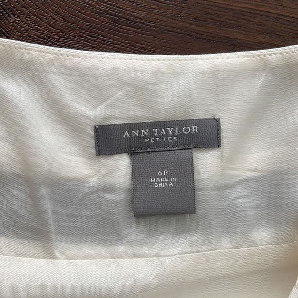 Ann Taylor NWOT Lined 70% Silk/ 30 Cotton Skirt with mesh and black trim detail. - Picture 3 of 7